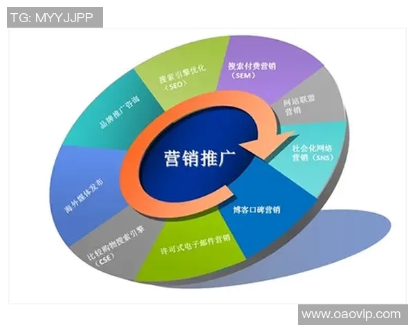 实时新闻深圳足球队运营革新探讨从管理模式到市场营销的全方位升级